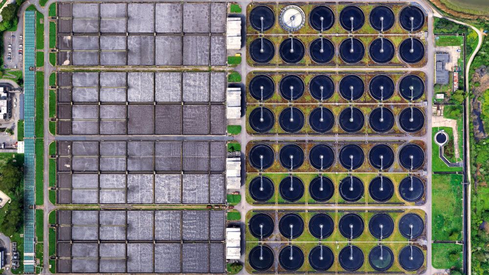 A satellite picture of a wastewater-treatment plant: dozens of square, grey settling basins fill the left half in a neat grid, while the right half shows rows of dark circular clarifiers set in bright green grass, all connected by straight service roads and walkways. 