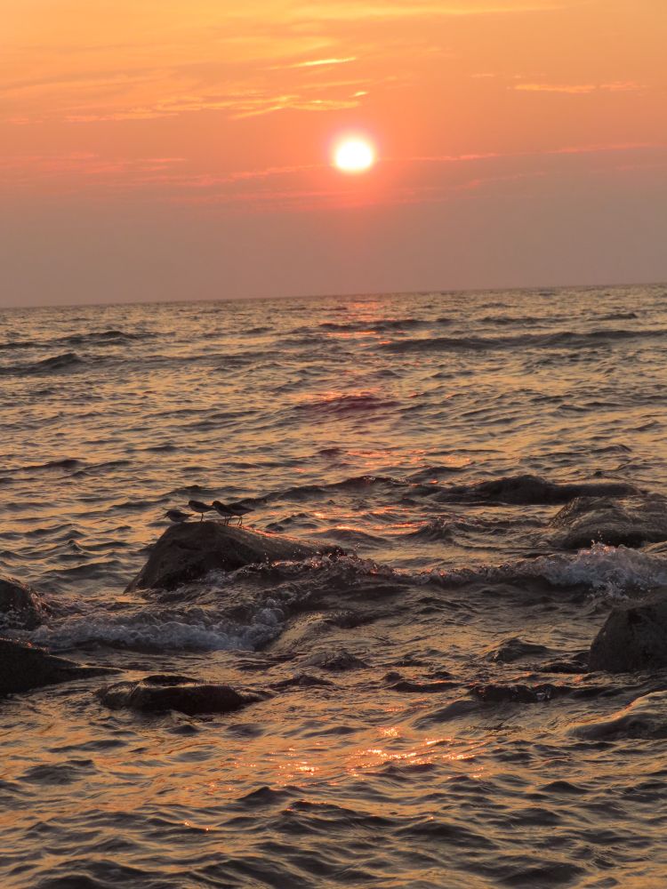 Sunset over the ocean. The sky is shades of pink and orange. There are small birds on some rocks in the water