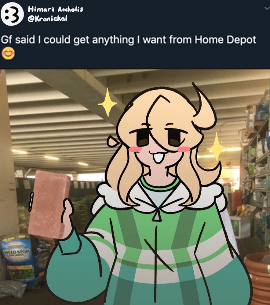 "Gf said I could get anything I want from Home Depot"

image shows a girl with blonde hair and a green-blue hoodie holding a brick