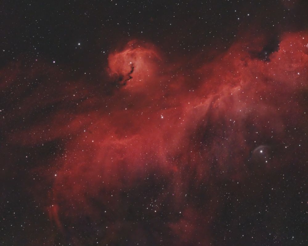 The Seagull Nebula.

The gas emissions in space look like a seagull with wings spread.
