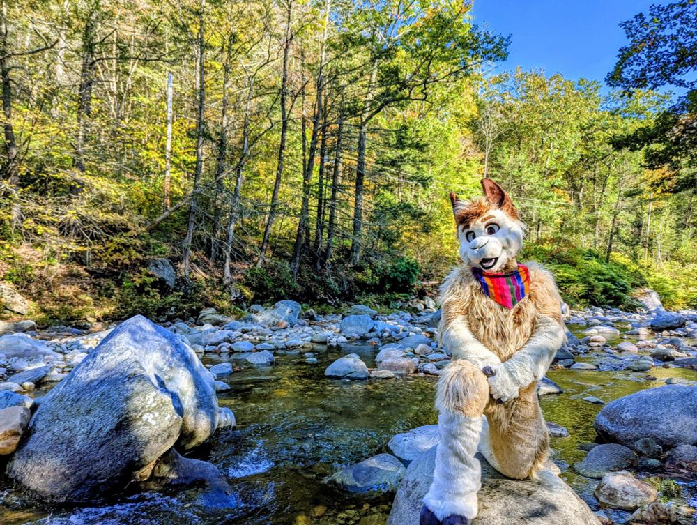 Alpaca fursuiter kneeling on a boulder in a shallow river