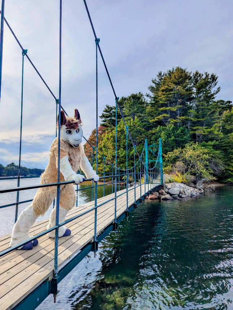 Alpaca fursuiter leaning against the wires of a tiny green suspension bridge with what looks like a forested island in the background
