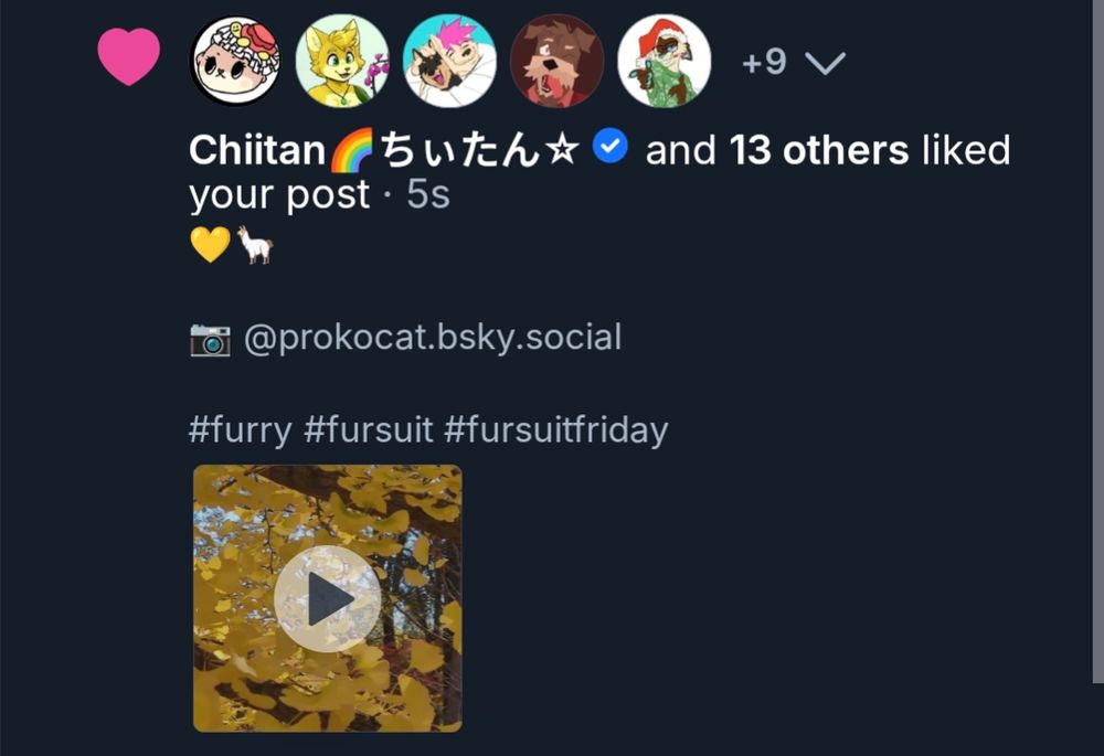 Chiitan liking my Fursuit Friday post