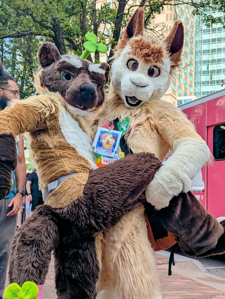 Alpaca fursuiter lifting the leg of a marten fursuiter 