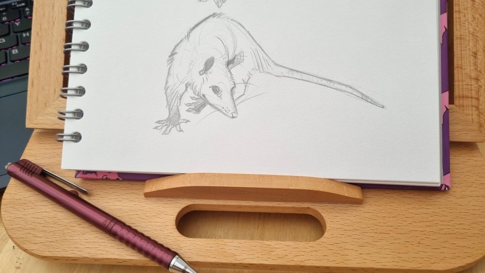 Photo of a sketchbook with a possum drawn in pencil. The pencil is next to the sketchbook