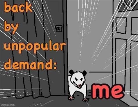 An angry possum stands in a doorway. The caption reads "back by unpopular demand: me"