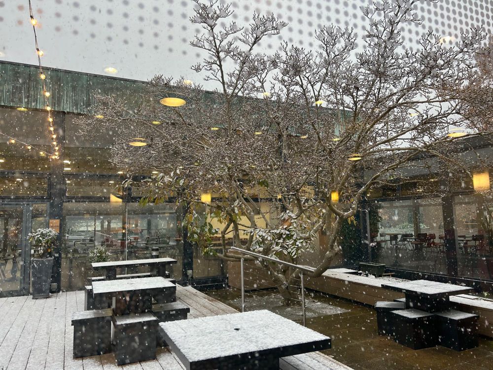 Snow on picnic tables with reflections of hanging & strung lights 