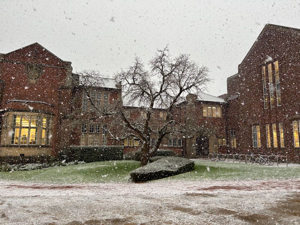Harley Library left wing from Highfield Road with snow coming down & lights on in windows 