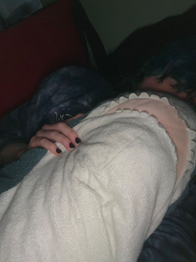 Me in bed with blahaj