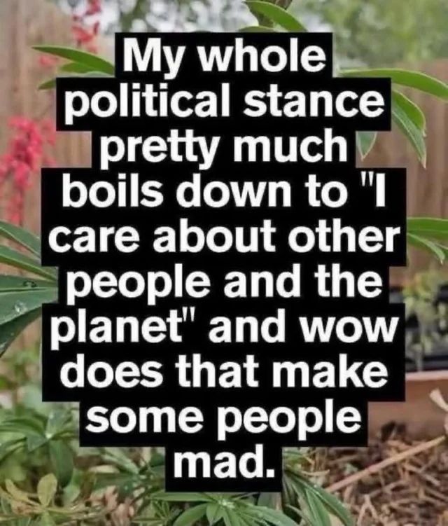 Close-up image of a leafy plant.

Text: My whole political stance pretty much boils down to "I care about other people and the planet" and wow does that make some people mad.