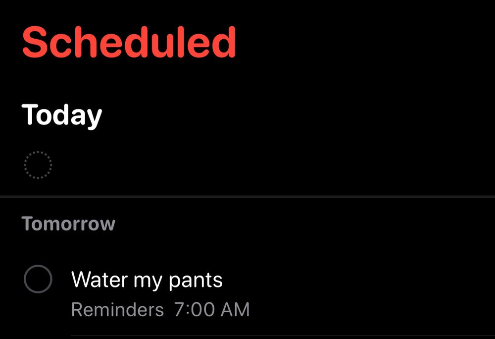 Screenshot of iPhone Reminders app with an item that says, “Water my pants.”