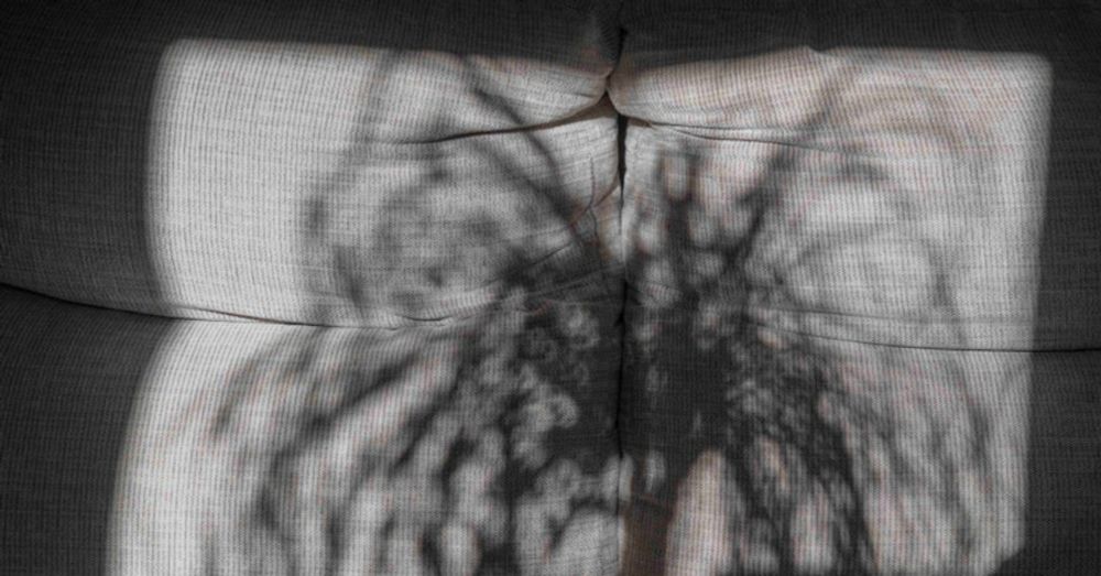 Sofa sunlight study: