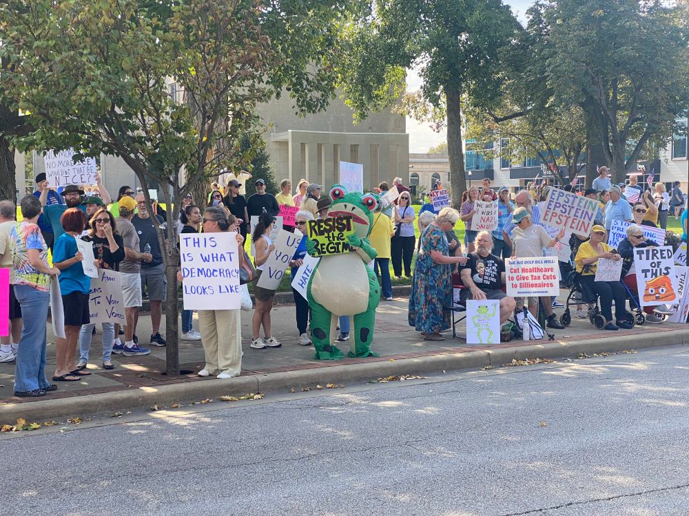 A collection of patriotic Americans exercising their constitutional rights. One is dressed as an frog.
