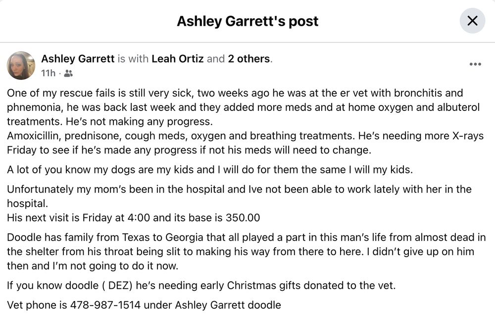 Request for vet help for a sweet dog who has pneumonia and whose owner is struggling. (478) 897-1514 is the vet, and the account is Ashley Garrett for Doodle the dog. Thank you.