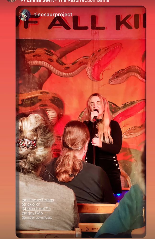Emma Swift performing live.