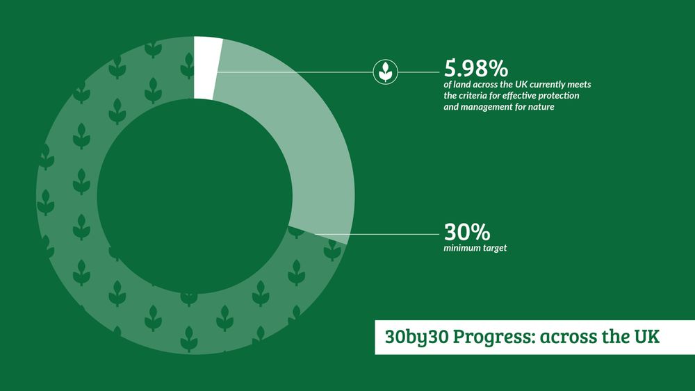 Pie chart showing progress of 5.98% against a target of 30%