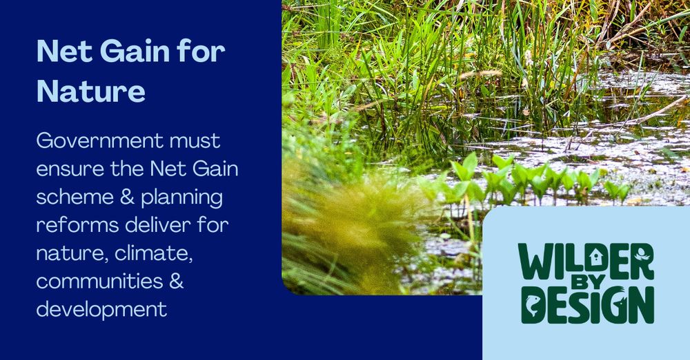 A pond with green reeds. Text reads "Net Gain for Nature. Government must ensure the Net Gain scheme & planning reforms deliver for nature, climate, communities & development"