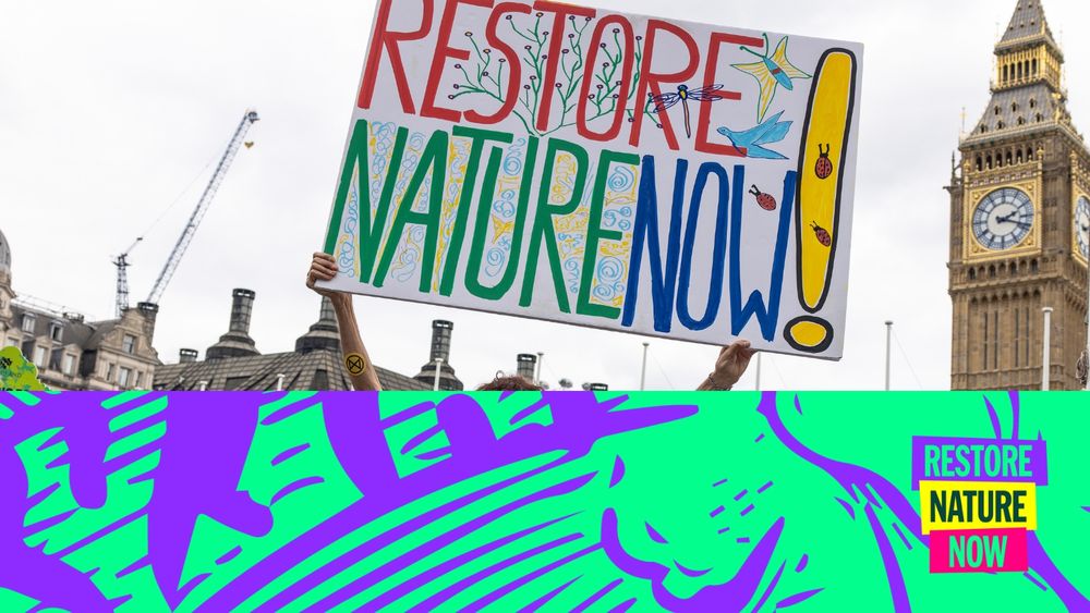 A large sign reading "Restore Nature Now" is held up, with the Big Ben clocktower visible in the background