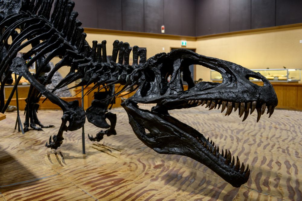 Dinosaur exhibit in Tumbler Ridge