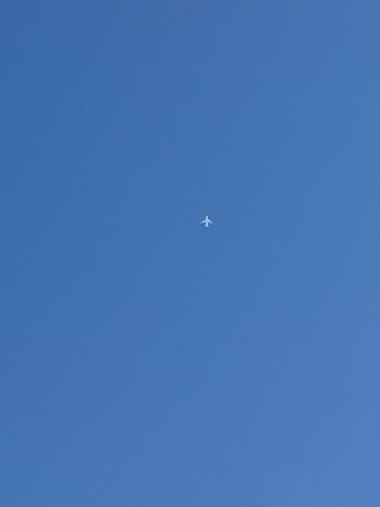 青空の中に白い旅客機の写真