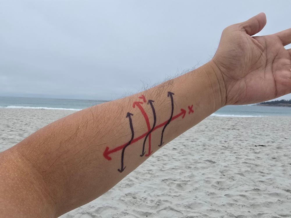 The graph of y=tan(x) on my arm. Ocean is in the background.