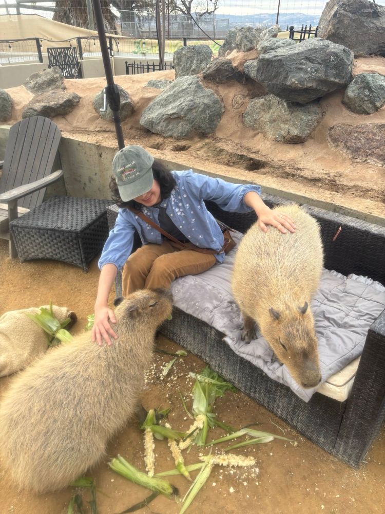 Ofelia petting TWO capybaras simultaneously.