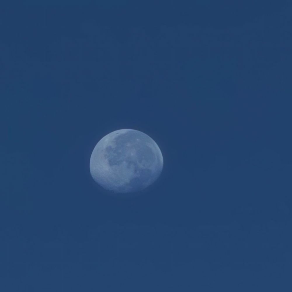 Waxing moon in a blue morning sky
