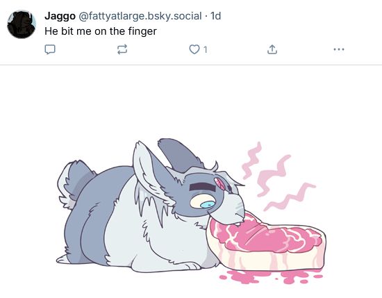 Fat bunny peanut Hyden eats a large raw steak after biting someone's finger and tasting blood