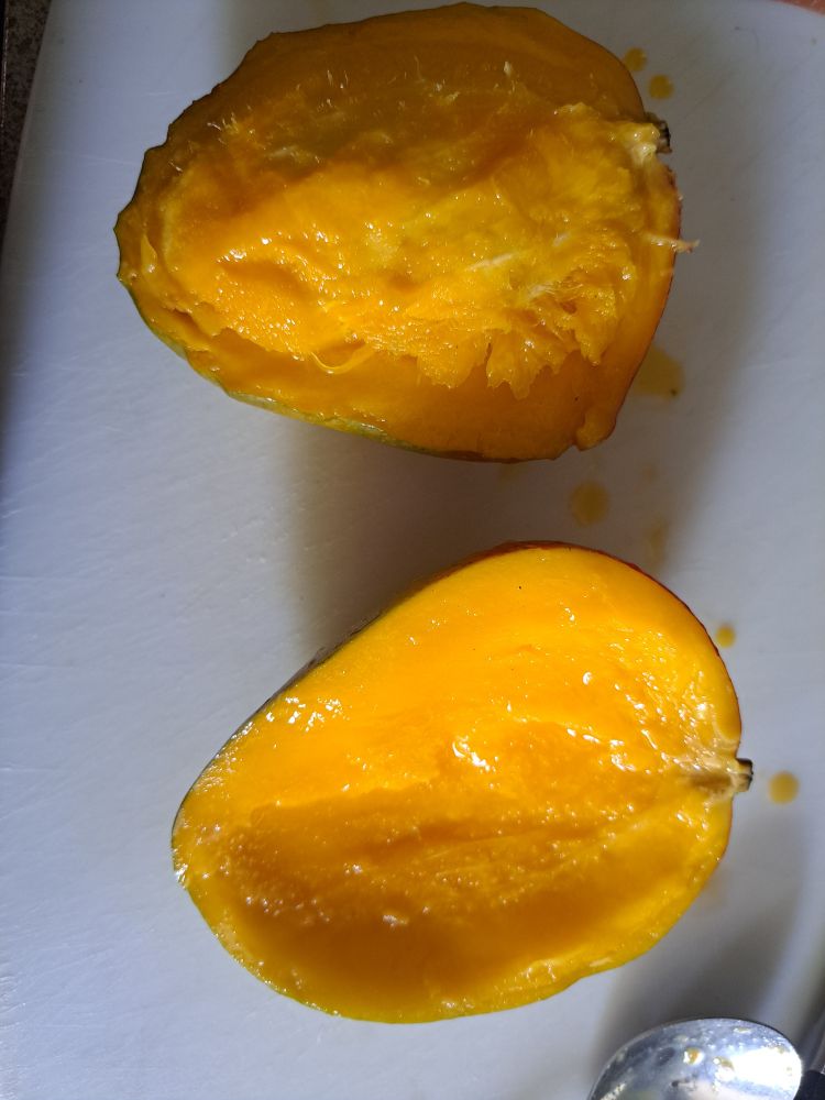 A ripe mango split perfectly into 2 halves