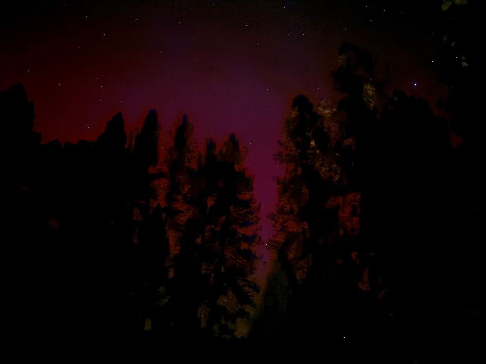 Reddish light behind trees 