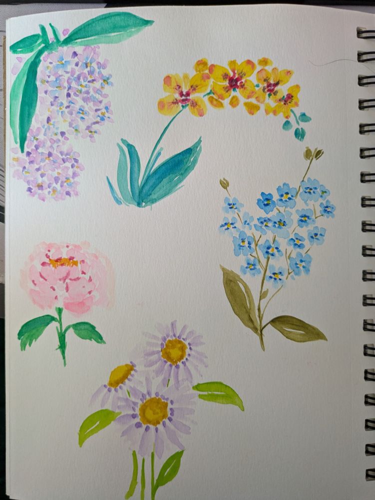 Lilac, orchid, forget me nots, peonies