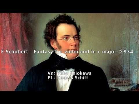 Schubert: Fantasien  D.934 András Schiff and Yuuko Shiokawa