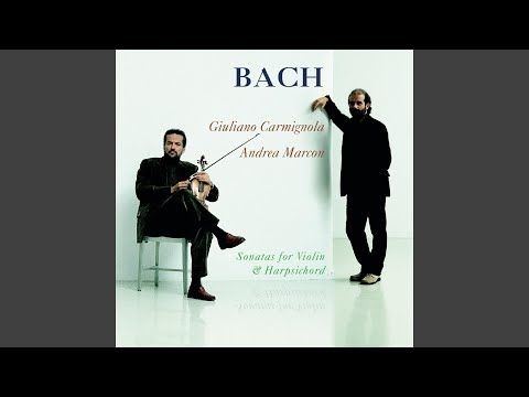 Violin Sonata No. 3 in E Major, BWV 1016: III. Adagio ma non tanto