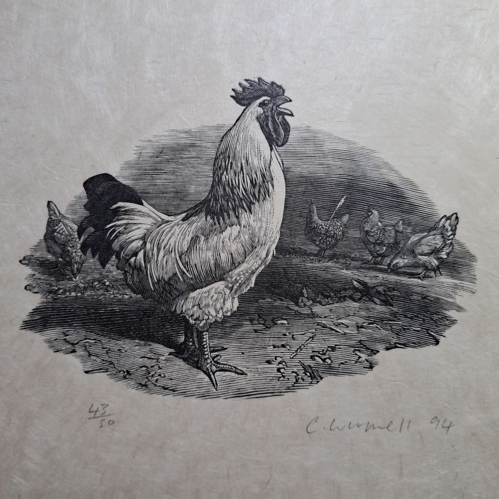 A contemporary wood engraving of a crowing cockerel with hens in the background. Worked in an 18th Century style by contemporary wood engraver and illustrator Chris Wormall