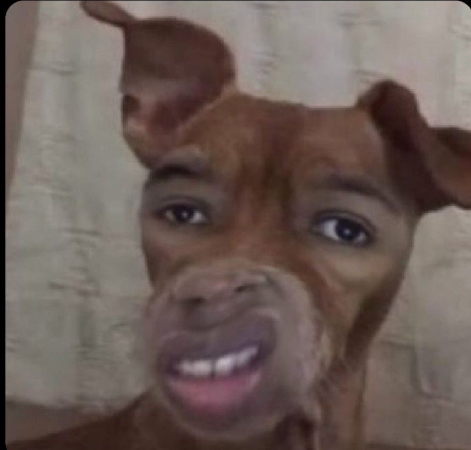 Humorous, edited image of a dog’s body with a human-like facial expression, featuring exaggerated eyes and a distorted mouth, giving it a perplexed and comedic look. The background is a neutral indoor setting.