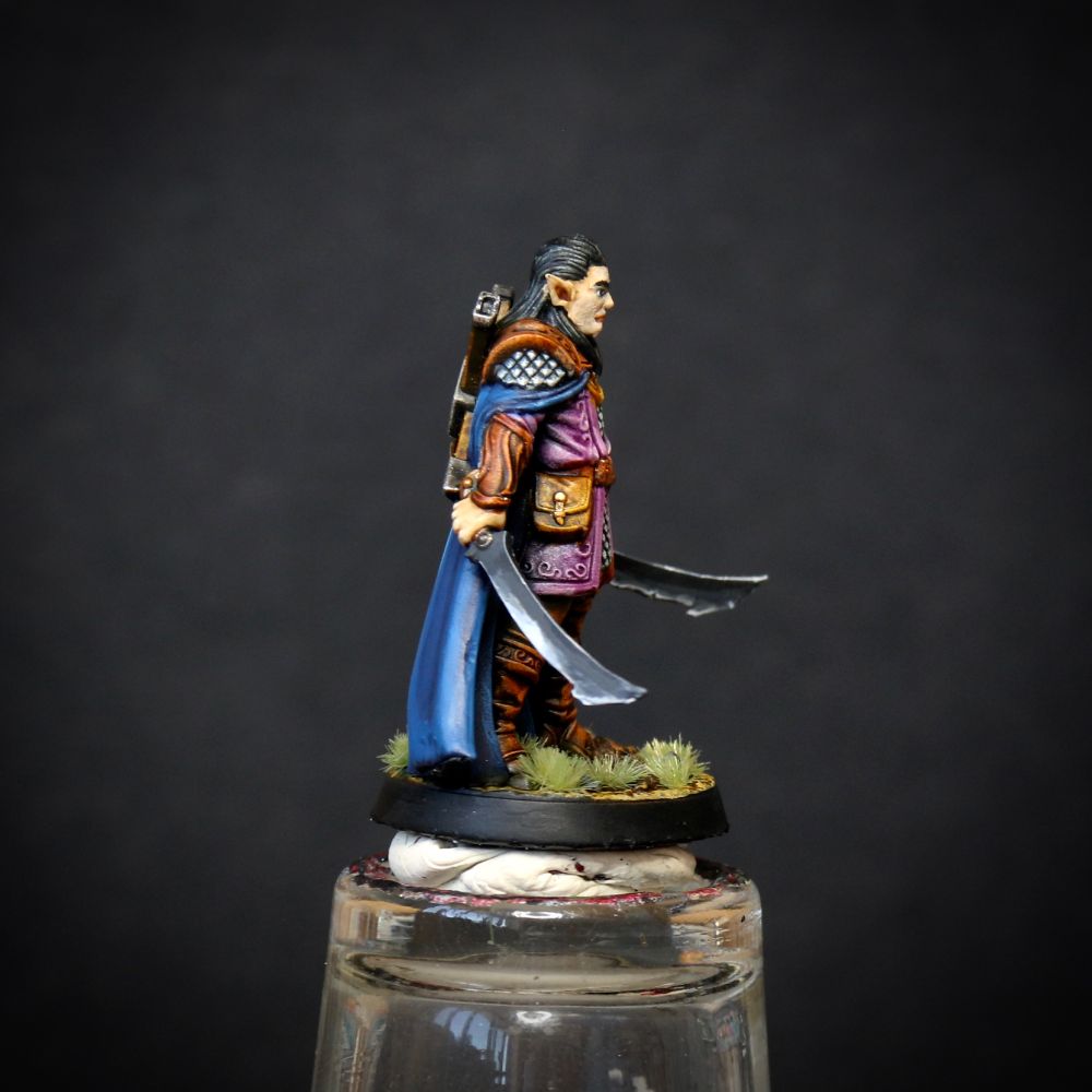 Painted mini of an Elven fighter wielding two swords