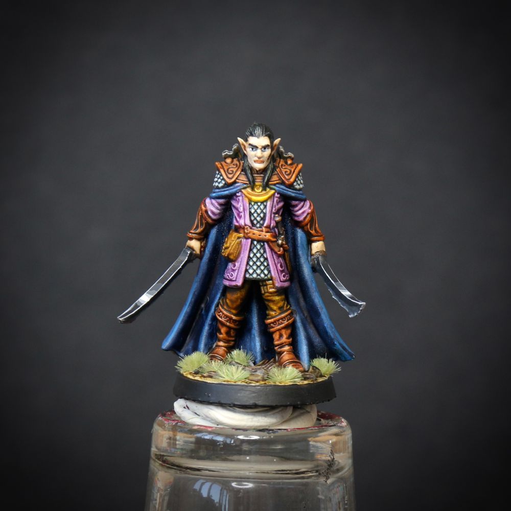 Painted mini of an Elven fighter wielding two swords