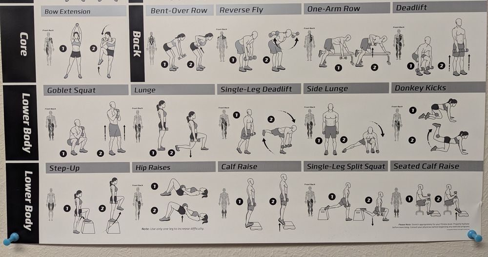Dumbbell exercise chart for back and lower body.