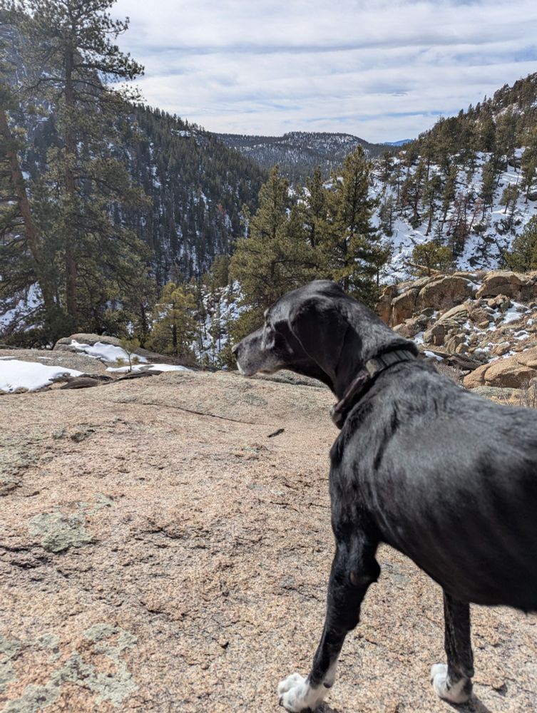 Overlooking the canyon with my pup.