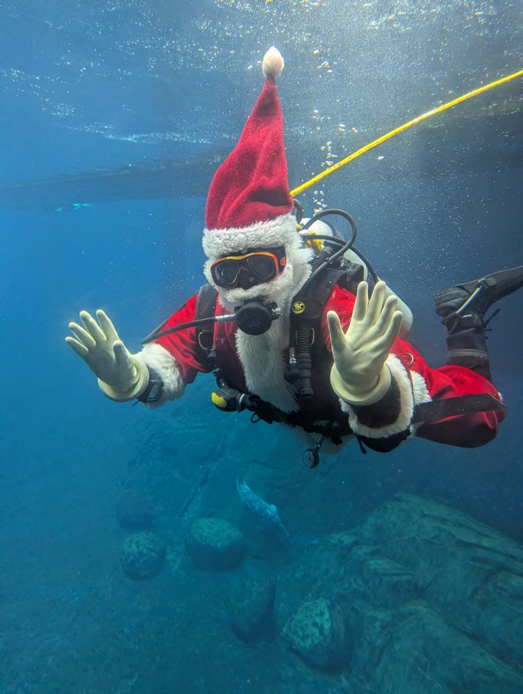 A person scuba diving in a seal tank wearing a Santa outfit and waving with both hands