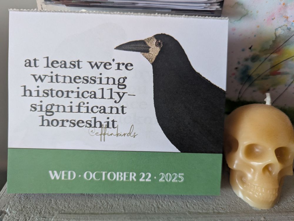 Effin Birds page a day calendar with an illustration of a black bird and the caption "at least we're witnessing historically- significant horseshit"