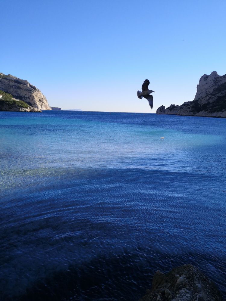 Calanque de Sormiou, Marseille. 