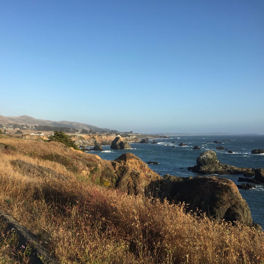 Under a bright blue sky, light ocean waves roll against a rugged shoreline with dozens of large rocks off the coast.
Tall grasses grow nearby, while hills and homes are visible in the distance.

Far away from home
Same coast, different latitude
Longed-for solitude