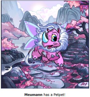 faerie tonu token from neopets