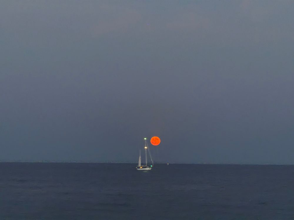Sailing boat in front of a red moon 