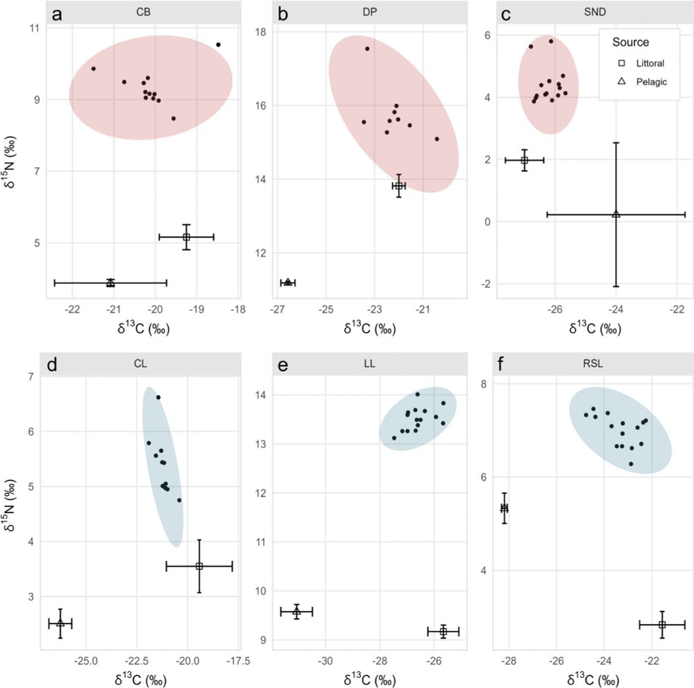 Stable isotopes and diet metabarcoding reveal trophic overlap between native and invasive Banded Killifish (Fundulus diaphanus) subspecies - Environmental Biology of Fishes