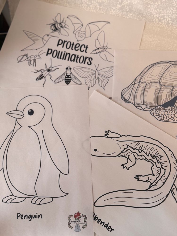 A picture of some wildlife coloring pages including a penguin, hellbender, and “protect pollinators”