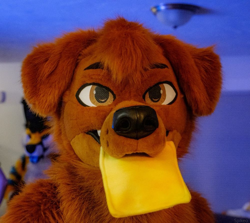 A brown dog fursuiter holding a slice of cheese made from felt in his mouth