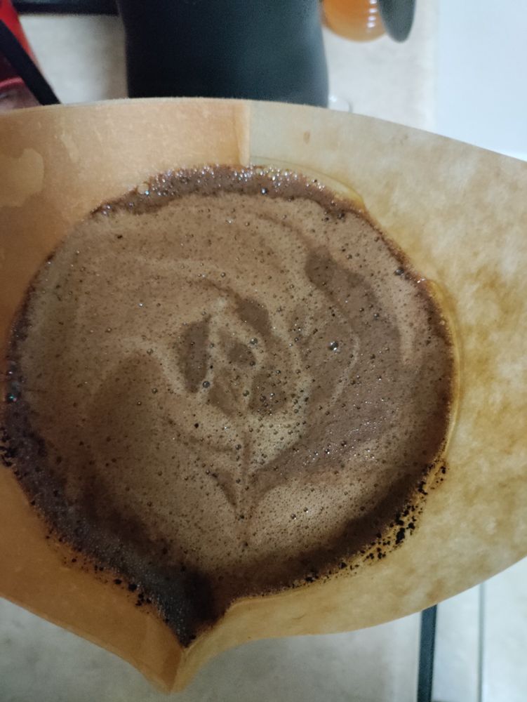 Coffee grounds that when water is poured, makes an image that look like a rose with a large leaf 