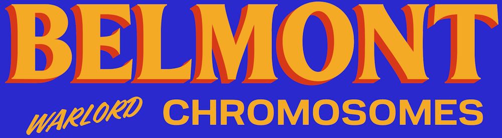 Zohran campaign slogan parody generated using https://homes.luddy.indiana.edu/ccshan/for/for.html

It reads, "BELMONT WARLORD CHROMOSOMES"